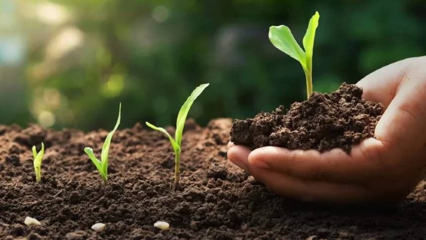 Entregas de fertilizantes crescem 3,8% no primeiro trimestre
