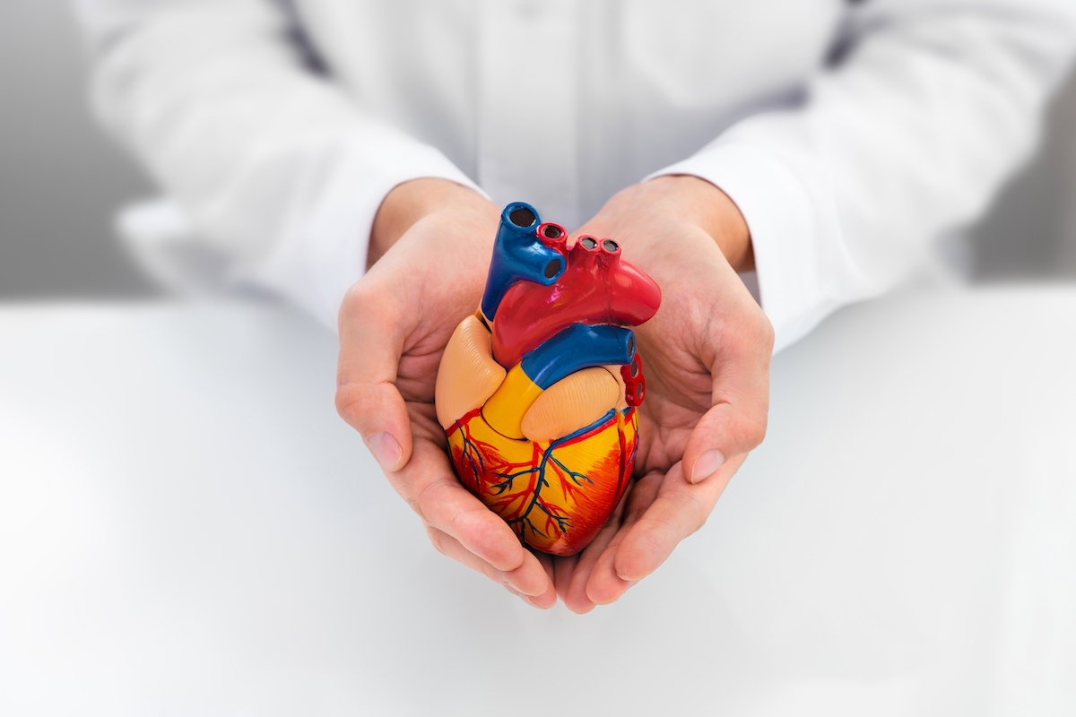 Cardiologista: o que é, o que faz e quando consultar