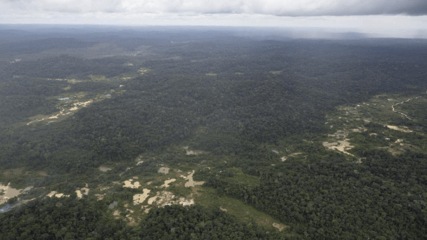 Garimpo fantasma é usado para “lavar” ouro ilegal na Amazônia, diz estudo