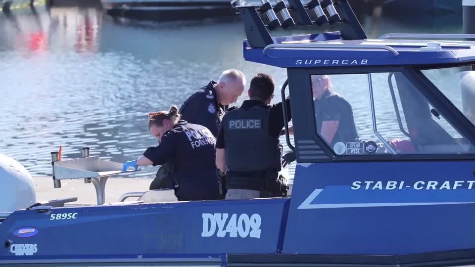 Ataque de tubarão de 4,5 metros mata homem na Austrália
