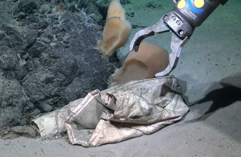 “Olha o tamanho disso”: jaqueta é encontrada a 3 mil metros de profundidade