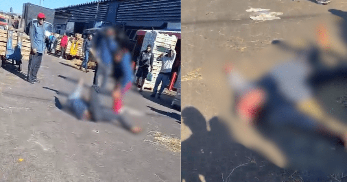 Discussão entre trabalhadores na Ceagesp termina com facada na testa