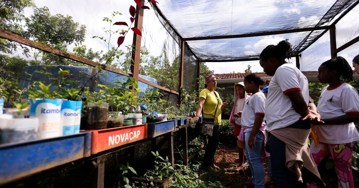 Programa de educação ambiental traz saberes locais para escolas públicas