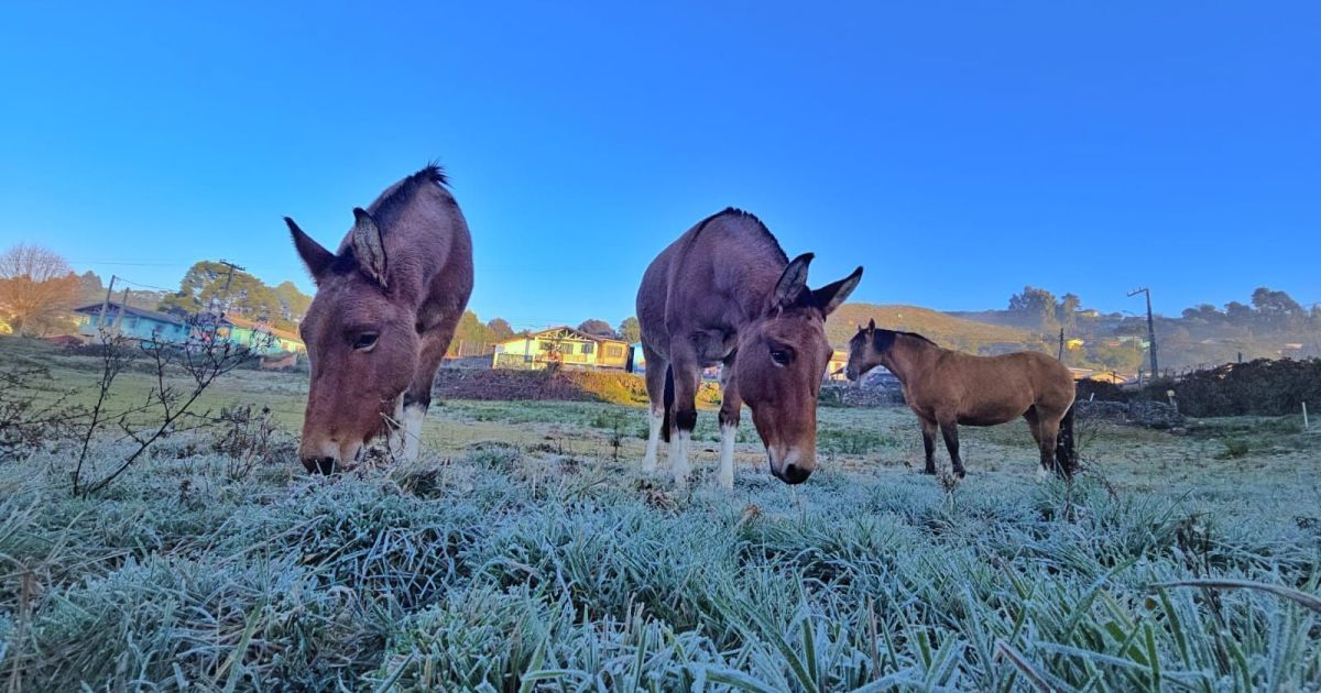 Inverno começa neste domingo; veja o que esperar do clima
