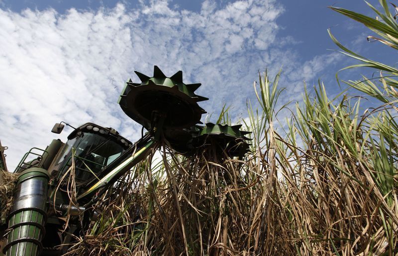 Lucro líquido da Tereos cai 62% na safra 2025/26