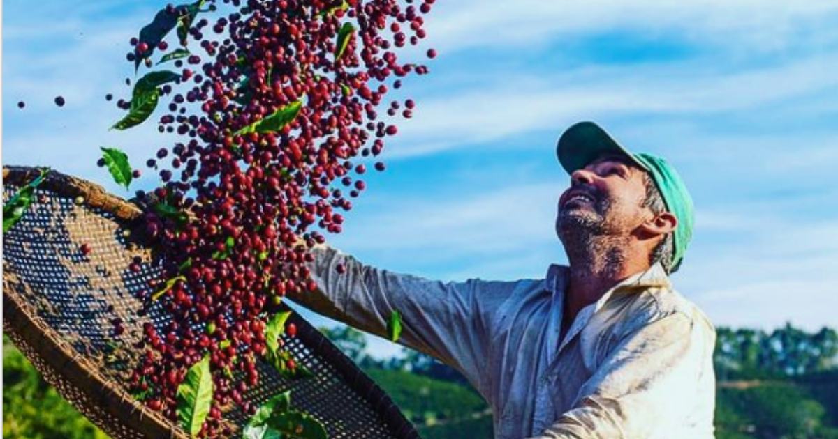 Fazenda paulista aposta em café inspirado na Copa do Mundo