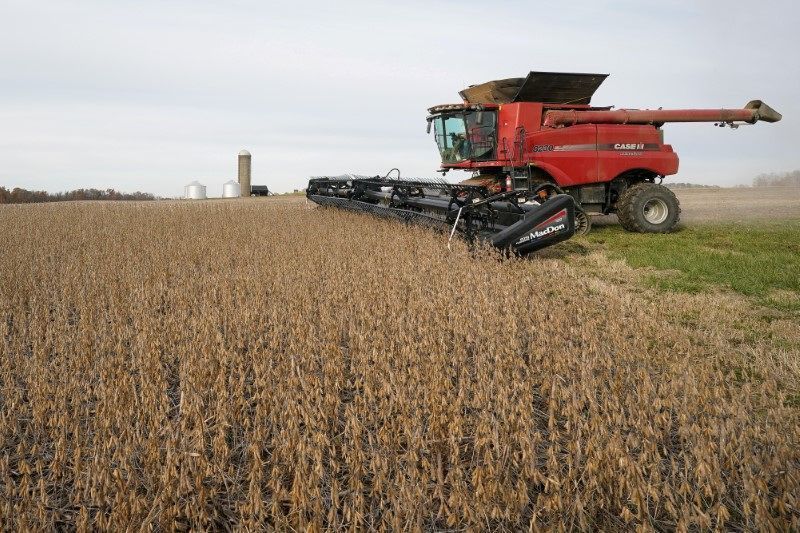 Soja fecha em queda em Chicago com mercado à espera de relatório do USDA