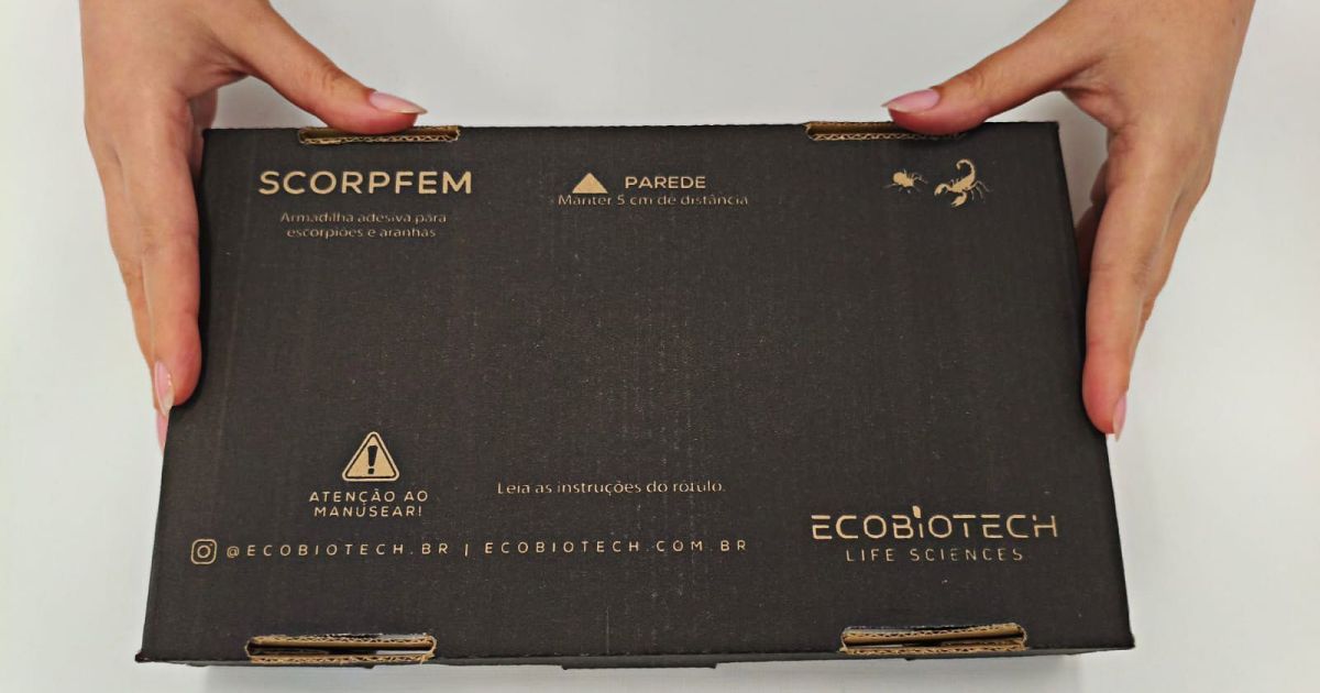 Armadilha sem veneno captura e monitora escorpiões em áreas urbanas