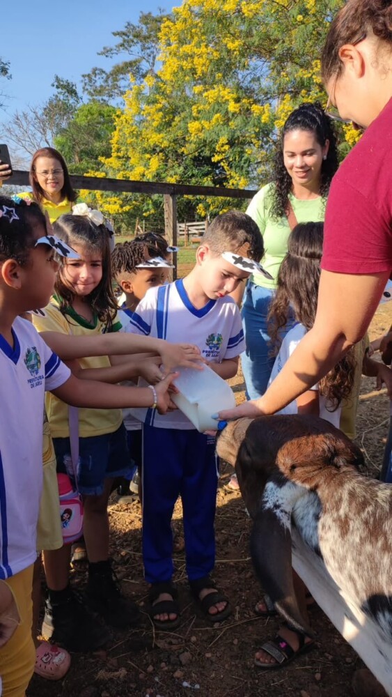 Jaru: Alunos da Escola Gabriel Balmant Neves participam de aula prática sobre ordenha de vacas durante projeto “Muuuu! Quantas descobertas!”