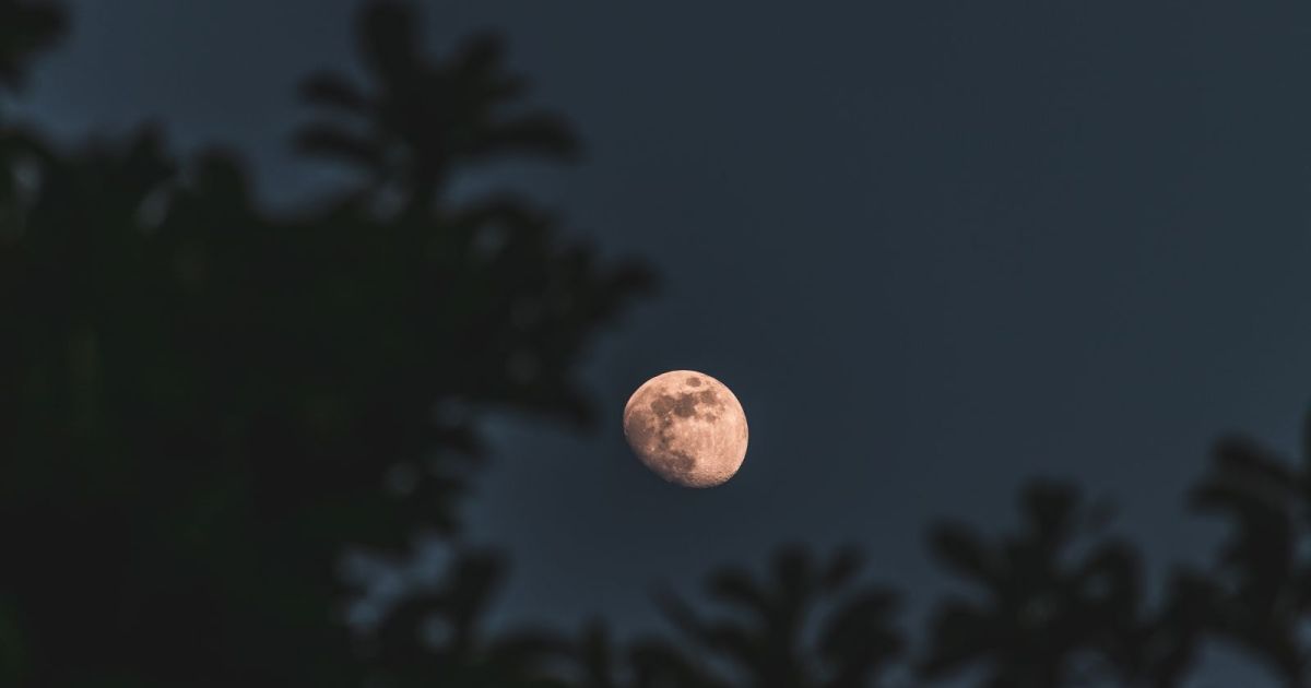 Lua dos Cervos: saiba o que evitar e se o seu signo será afetado