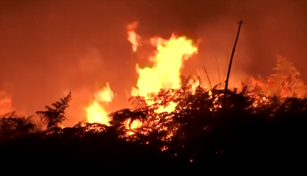 França registra primeira “tempestade de fogo” da história; entenda fenômeno