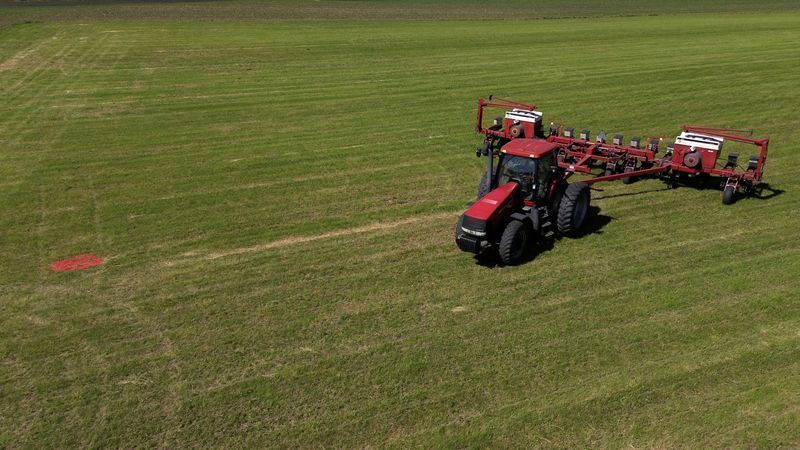 Onde está o agro? Veja as 10 cidades que lideram a produção no Brasil