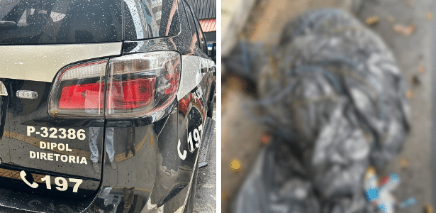 Corpos são abandonados em mata e polícia intensifica investigações em SP