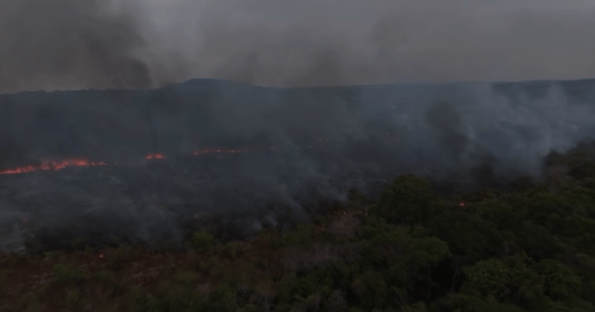 Incêndio atinge Área de Proteção Ambiental em Alter do Chão, no Pará