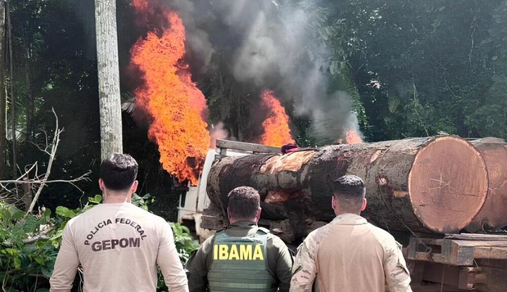 Operação da PF, Funai, Ibama e Exército encontra três caminhões carregados com madeira ilegal em terra indígena em Rondônia